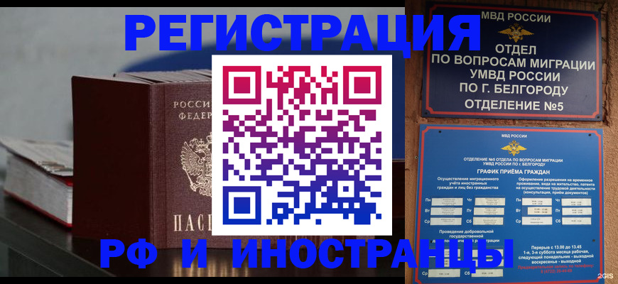 прописка 2025 в Клинцах
